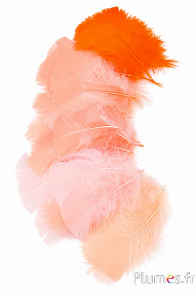 Pute - 6-8 cm - Orangetöne